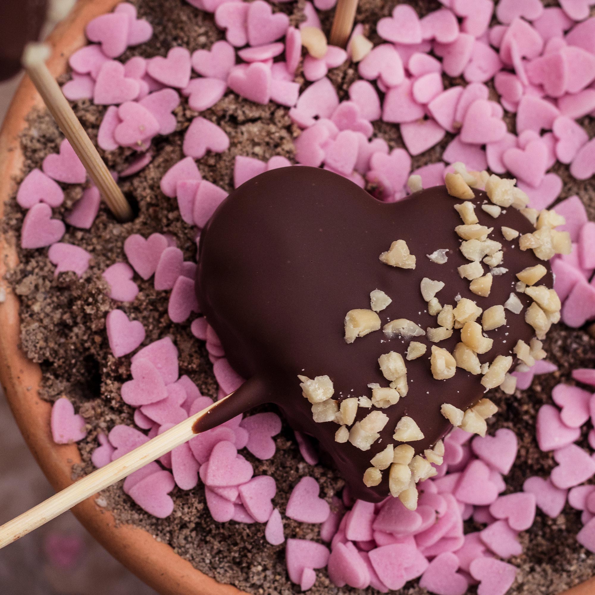 HERZFÖRMIGE PUMPERNICKEL-SCHOKOLADEN-CAKE-POPS - Mestemacher.de