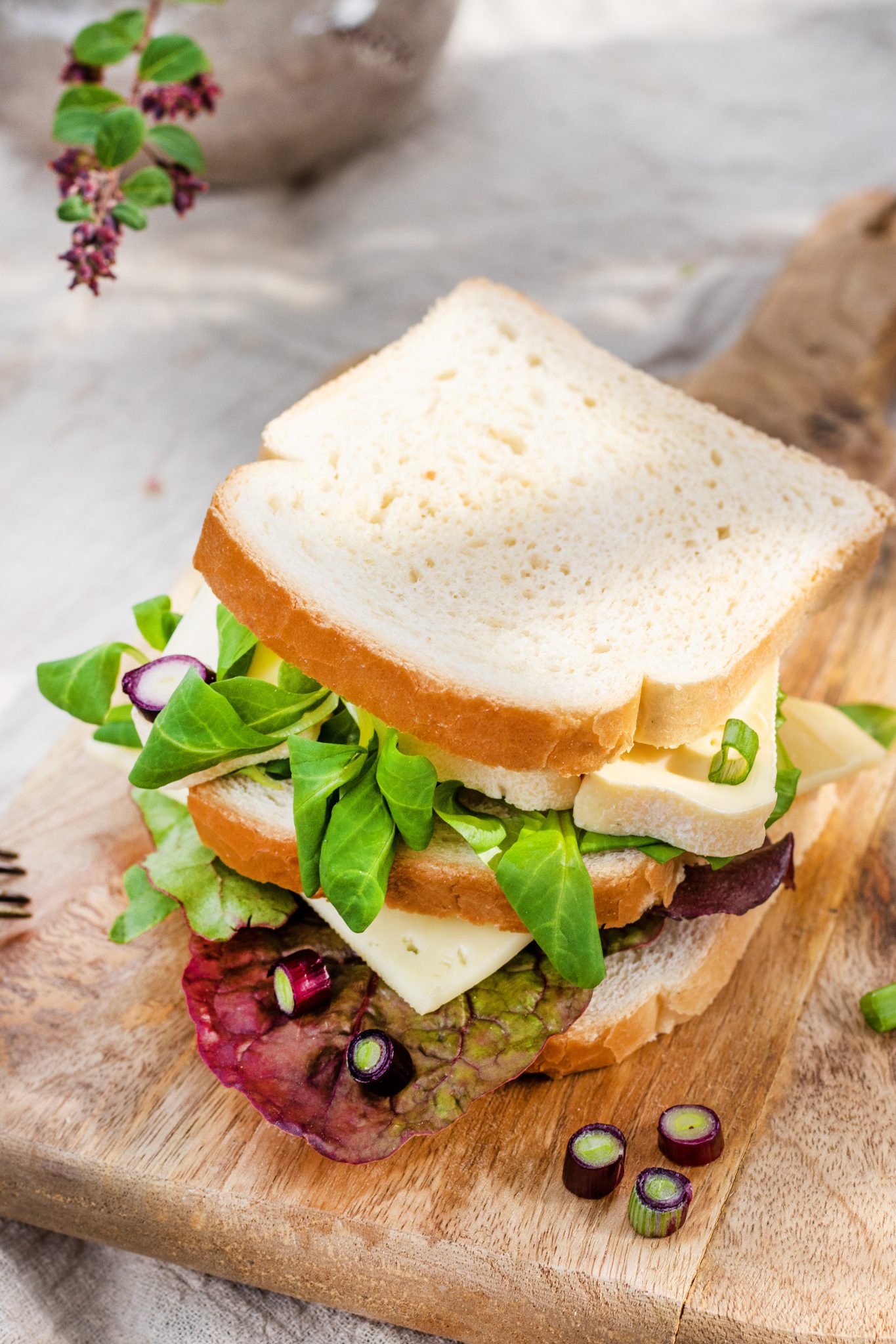 Sandwiches mit dreierlei Käse - Mestemacher.de